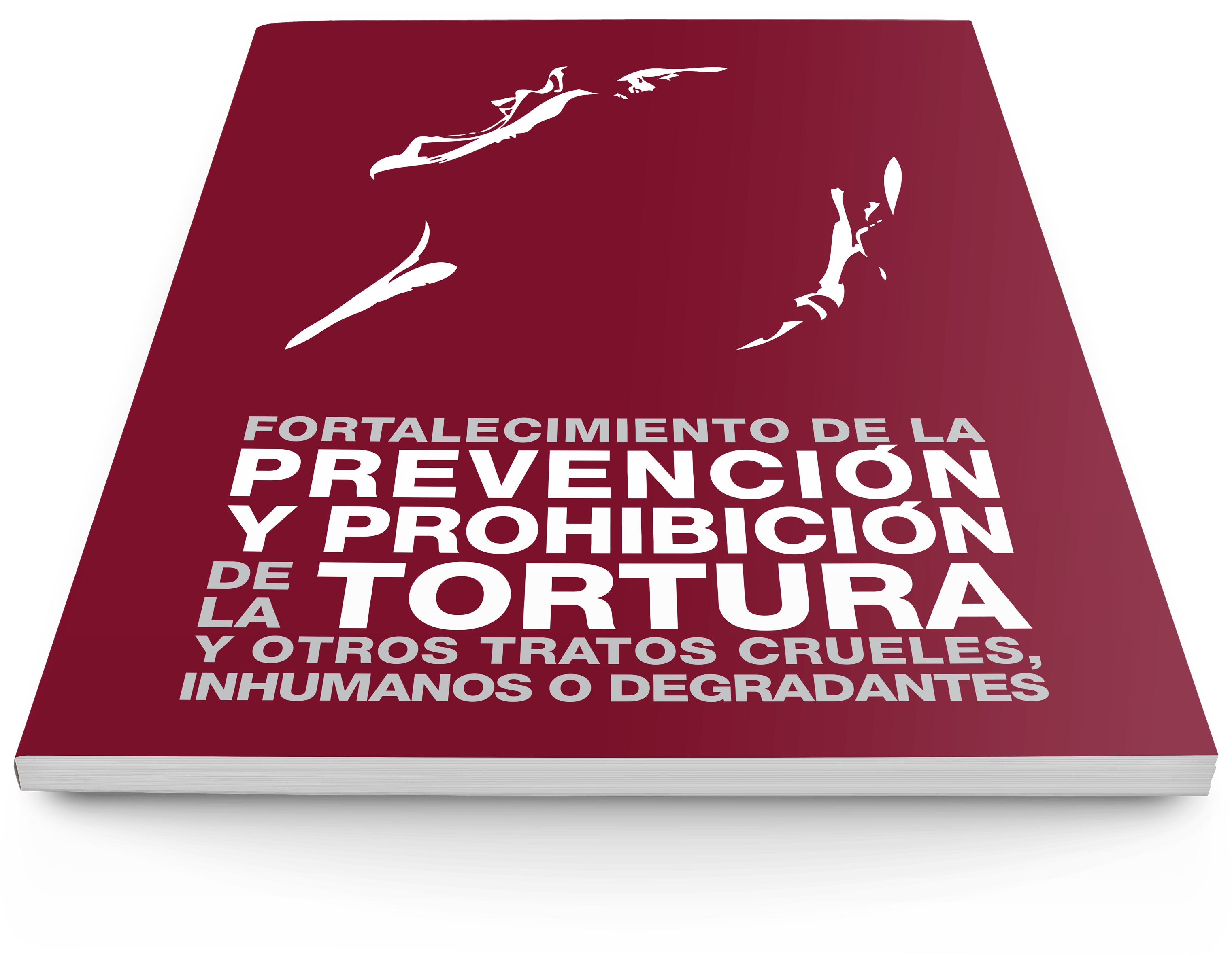Book and Event for the Prevention and Prohibition of Torture