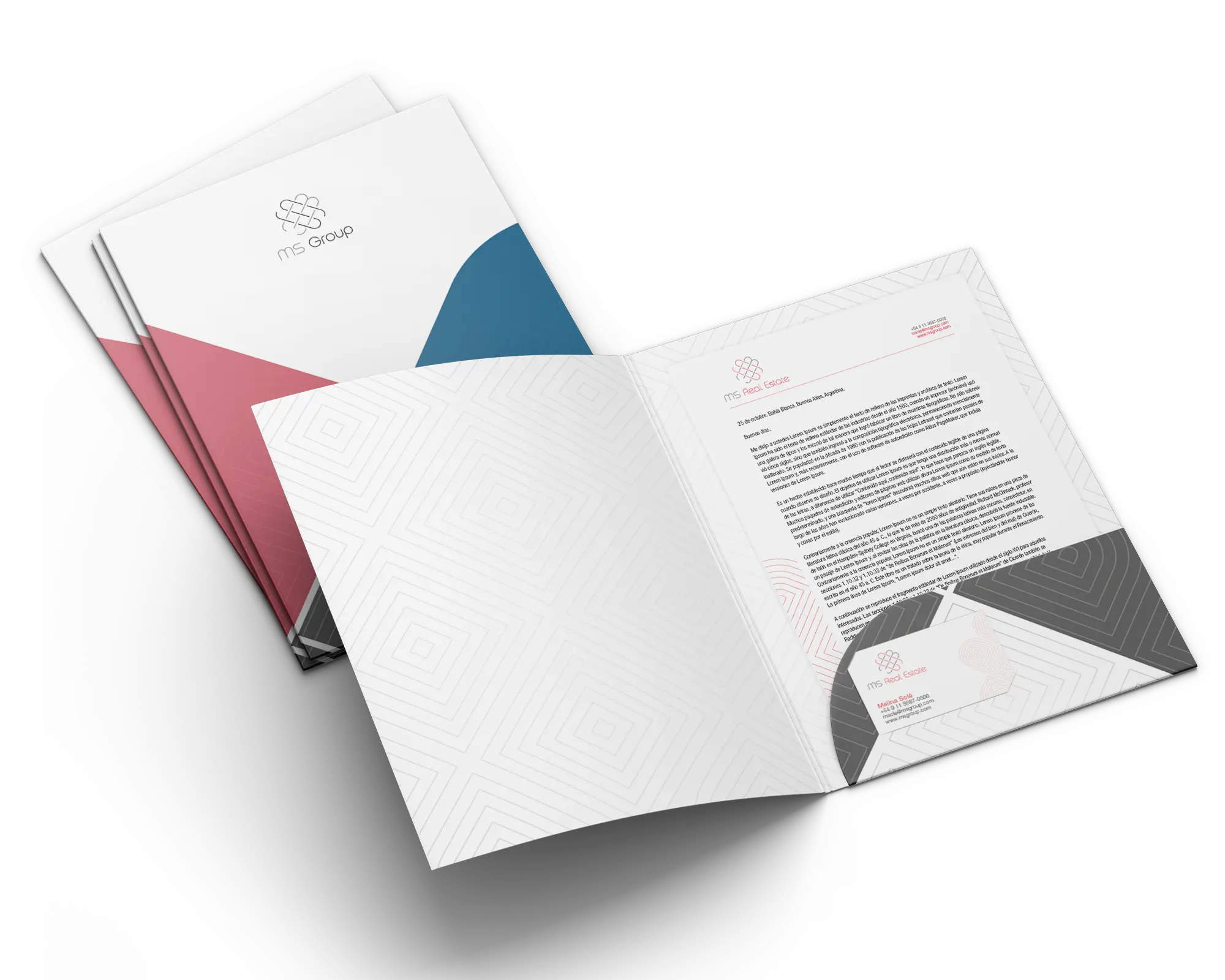 Visual Identity for MS Group and Sub-brands