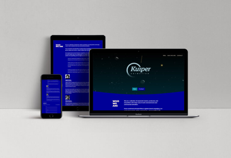 Web showcase project presentation