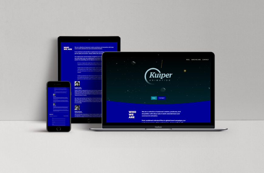 Web showcase project presentation